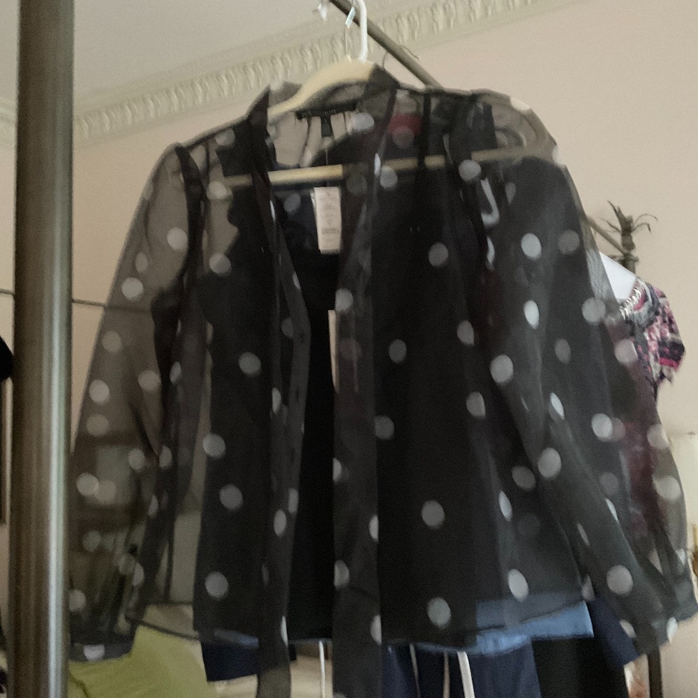 Sheer polka dot blouse